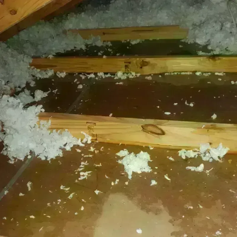 Attic Water Damage in Valley City, ND