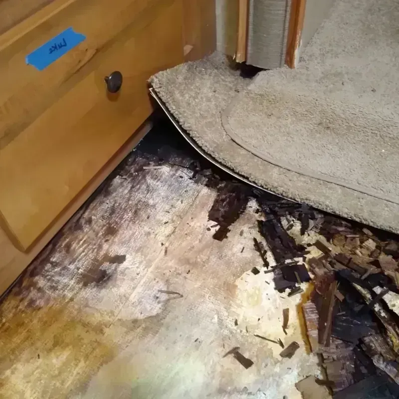 Wood Floor Water Damage in Valley City, ND